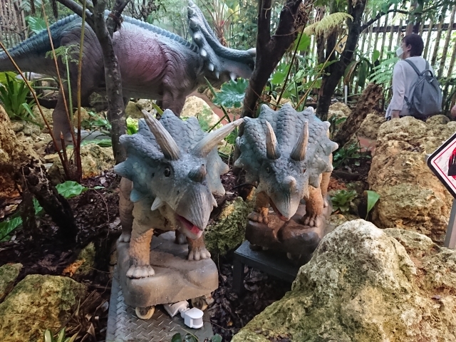 DINO恐竜PARKやんばる亜熱帯の森