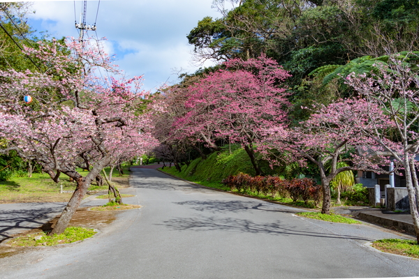 八重岳