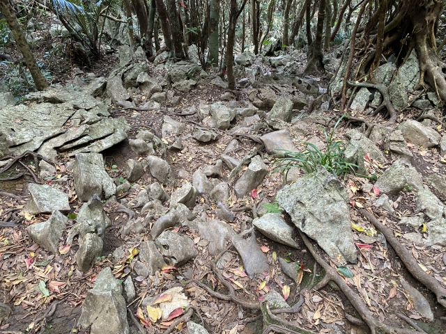 嘉津宇岳