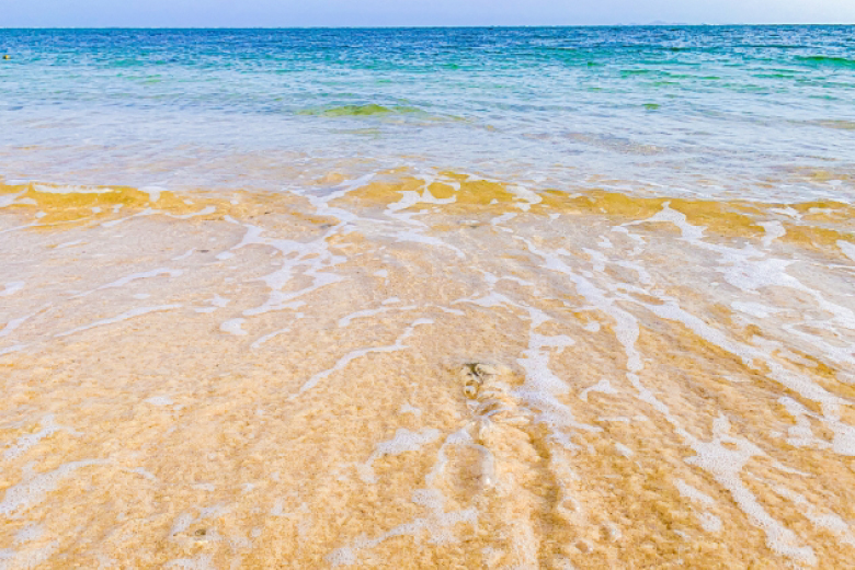 今帰仁の海