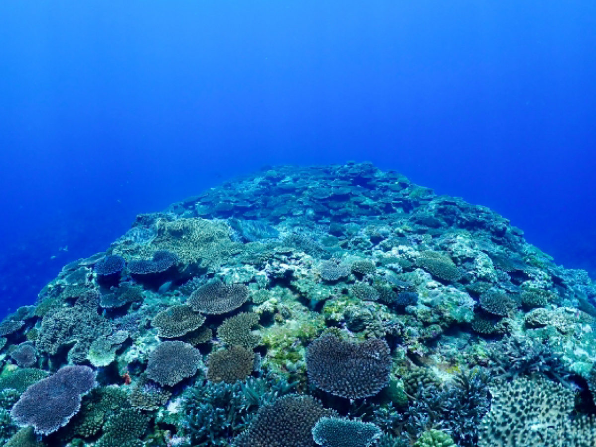 沖縄の海