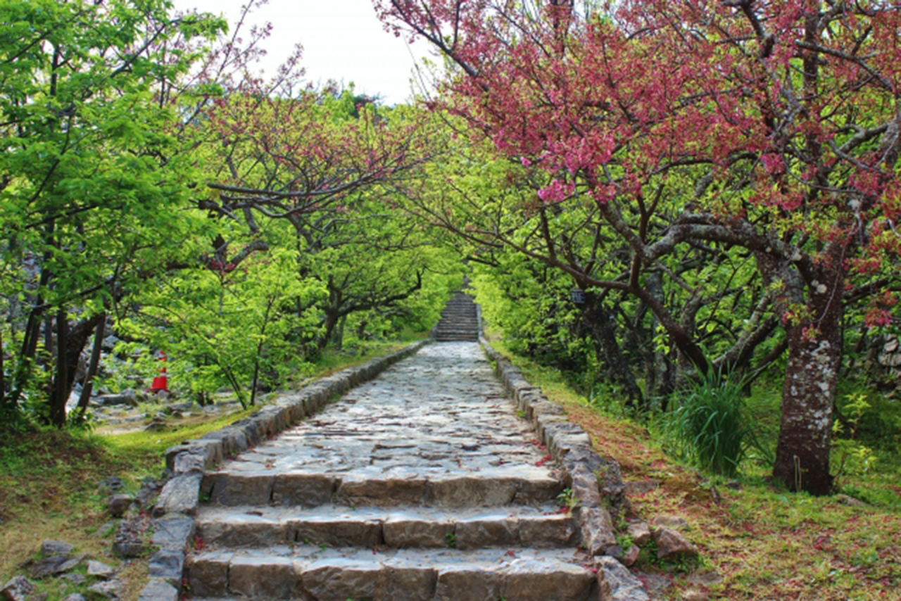 沖縄の世界遺産