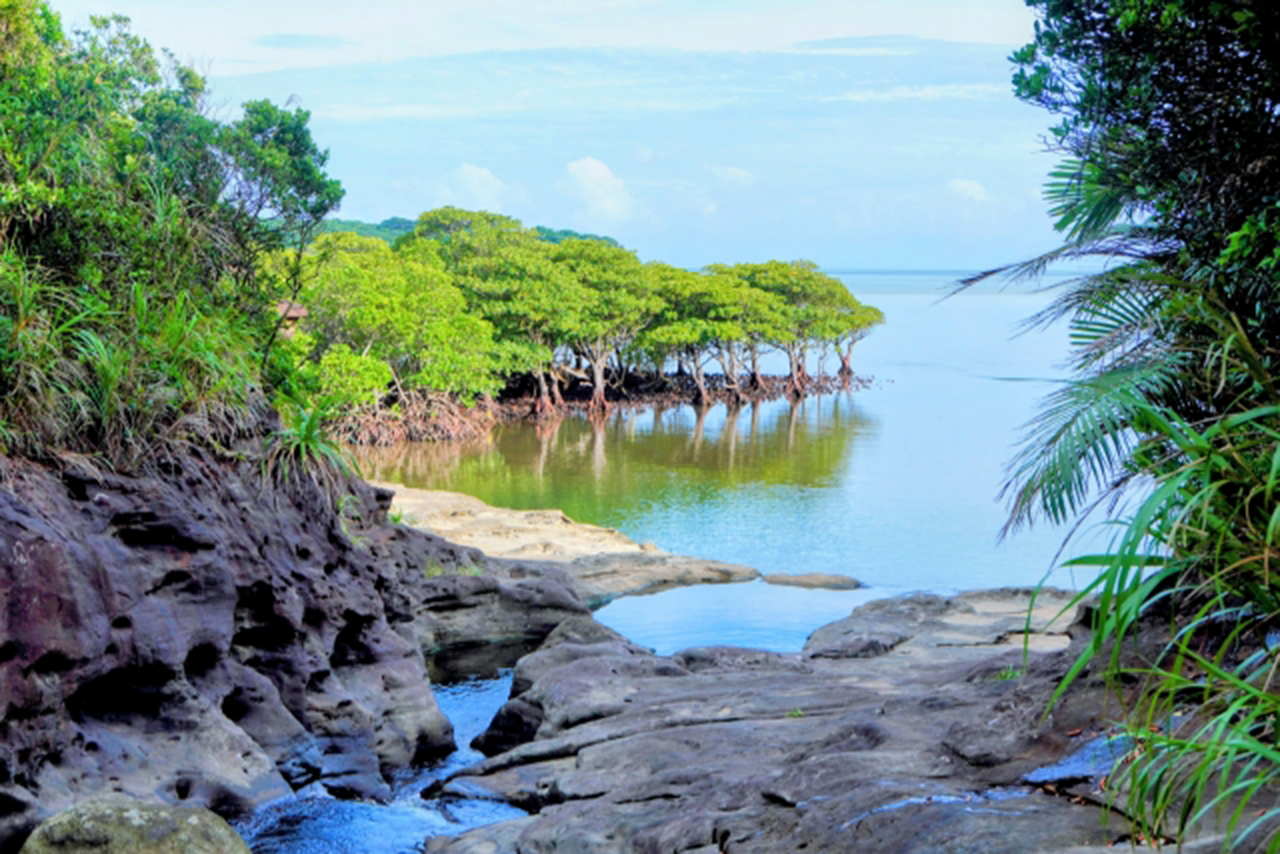西表島大見謝ロードパーク