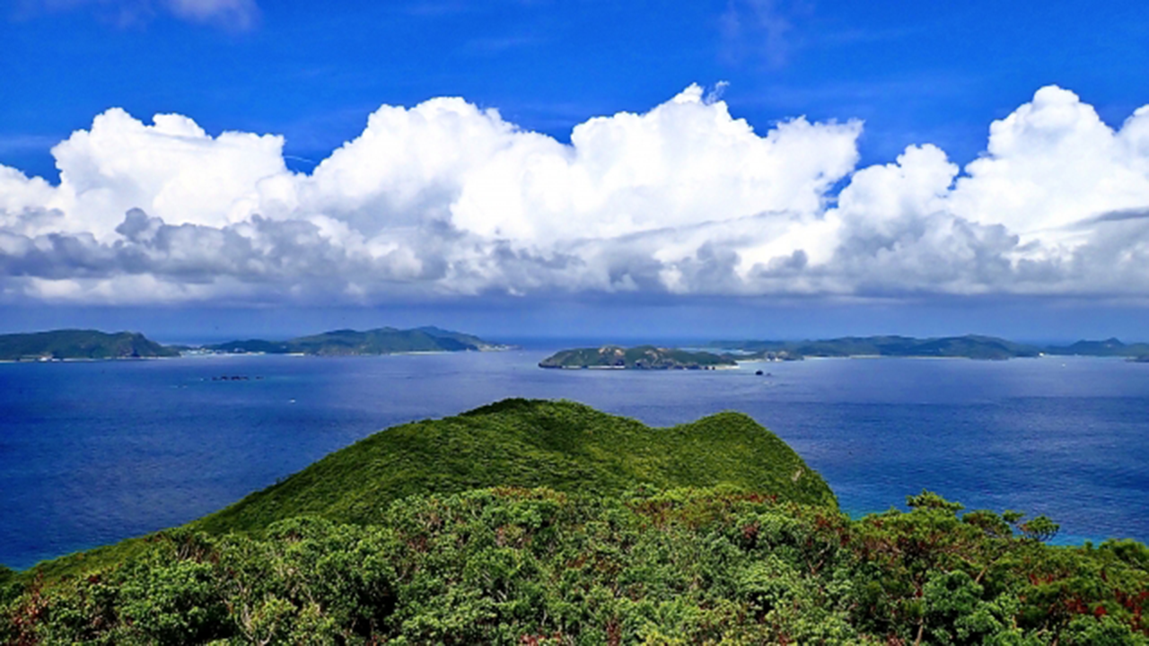 照山展望台からの風景