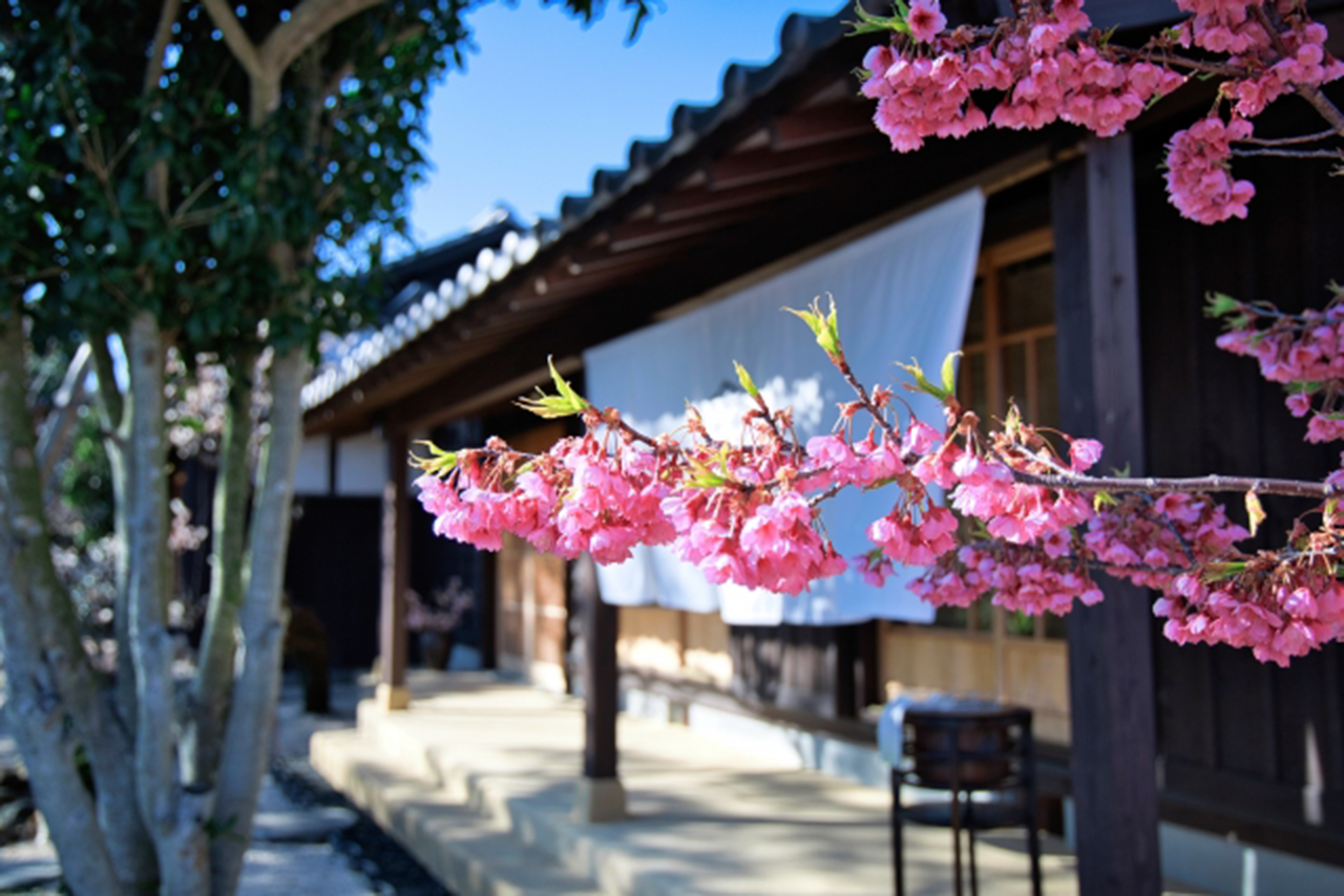 桜と古民家