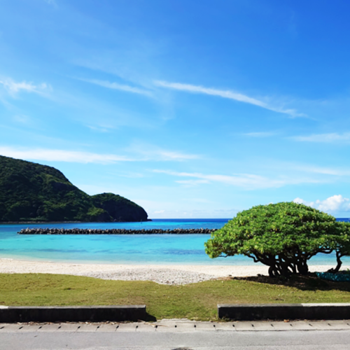 沖縄の海