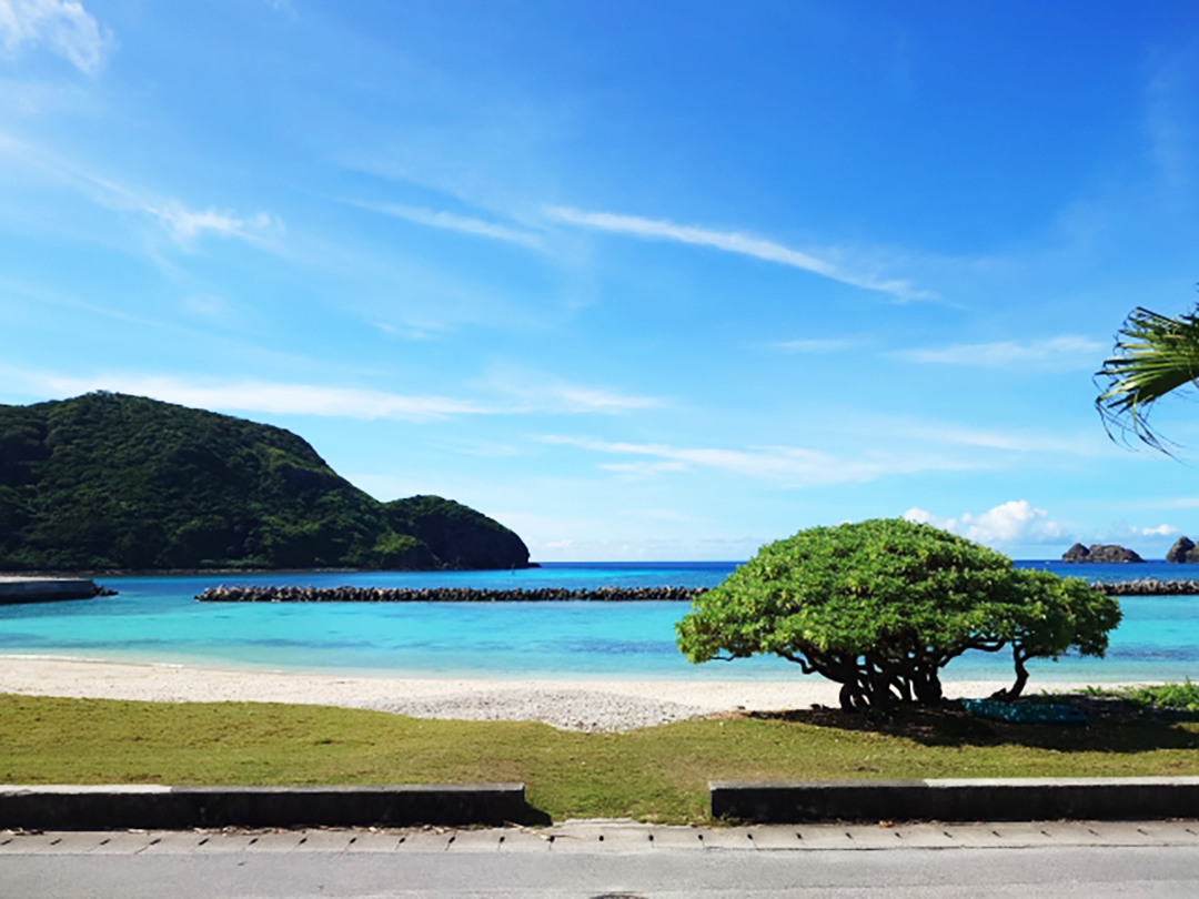 沖縄の海