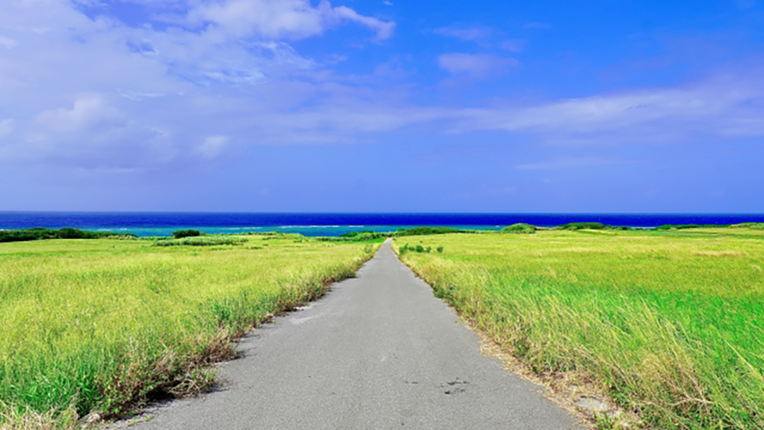 沖縄の草原と海
