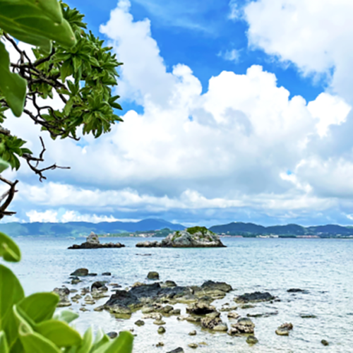 沖縄の海