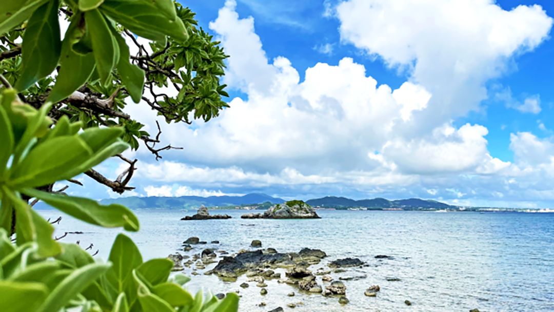 沖縄の海
