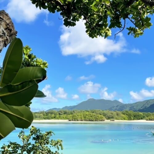 沖縄の海