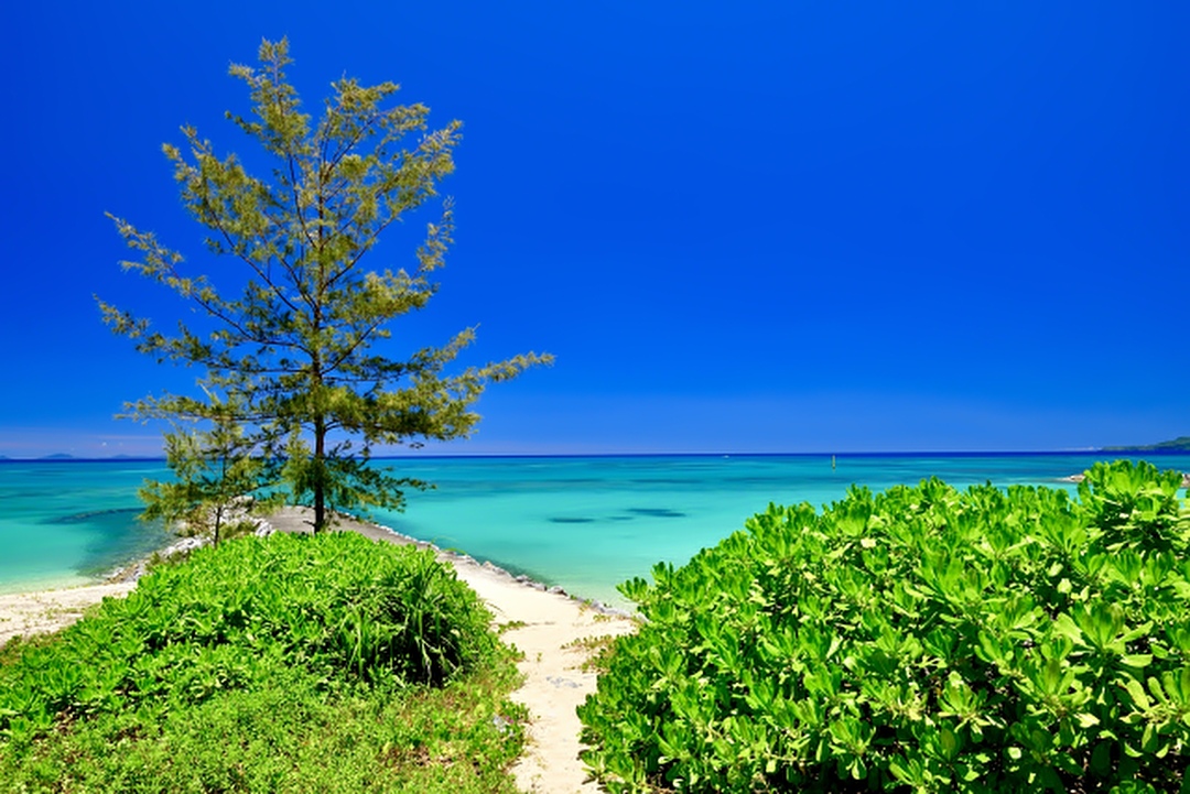 沖縄の海