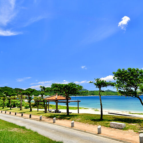 沖縄の公園